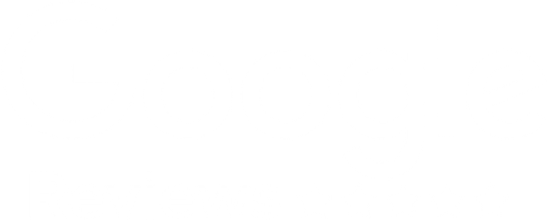 pinpng.com google logo white png 2974772